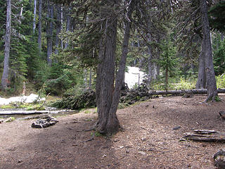 Camp area above Buckhorn Lake.