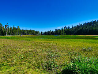 Marsh area of Crescent Lake