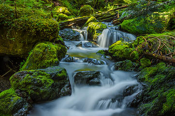 Tunnel Creek