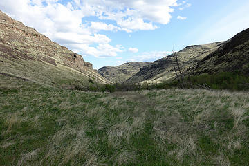 Brushy Creek drainage.