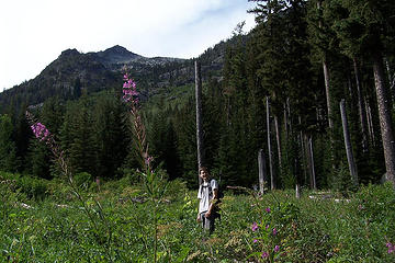 Eightmile Mt (22)