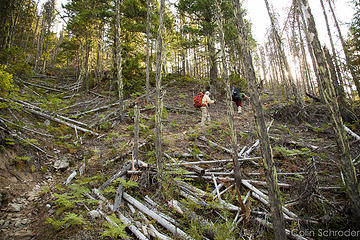 steep trail up Sourdough