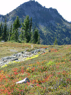 Fall color below Copper Mtn.