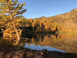 Chiwaukum Larches 10/1-10/3/20