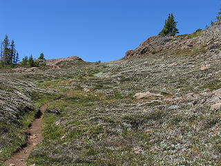 White heather meadows on the south ridge