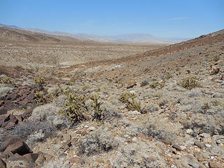 Working our way over to W. Mortero Wash