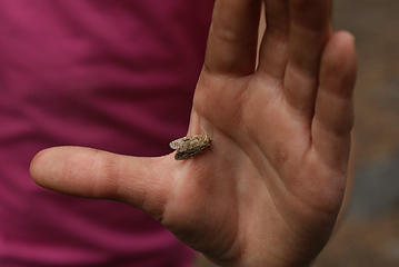 Annika's little moth friend