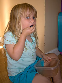 Bear cub #1 devouring huckleberries