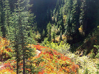 Parkland in Agnes headwaters