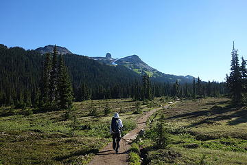 Hiking through Taylor Meadow