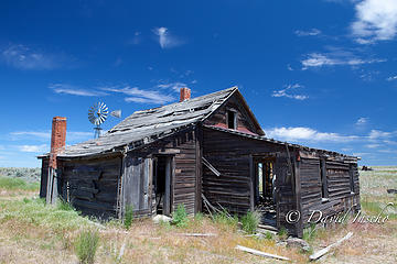 Near Grass Valley, OR