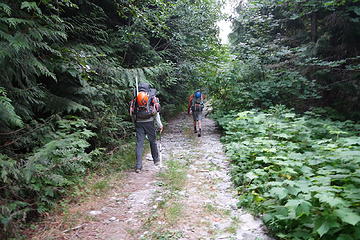 Depot Creek road walk