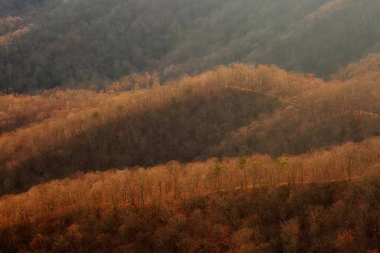 Jefferson National Forest, Virginia (Feb 26, 2023)