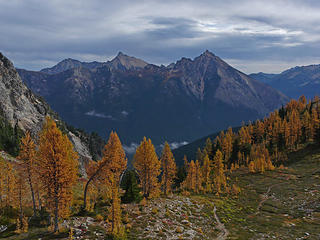 Easy Pass Larches