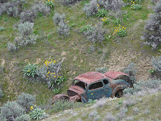 Wildernessed snags another primo parking spot