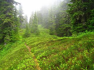 ridge flattens out and leads to views of lake 4936