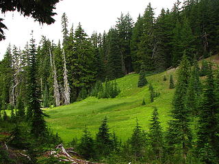 Nearing Linton Meadows