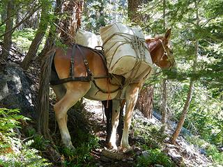 trail blockers