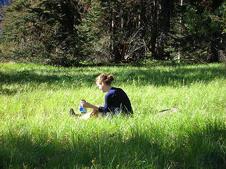 Meadow below Big Craggy