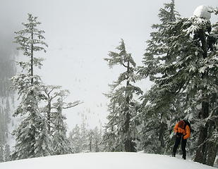 Bob high above Ollalie Meadow