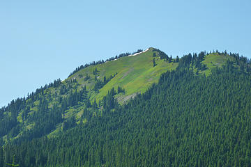 alpine meadows - summer is finally here!