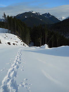 First views east from the Blue Mountain Road 1/15/16