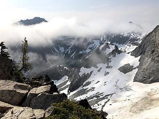 Buckskin in clouds