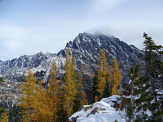 Larches in Headlight Basin.