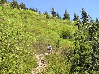 Barry heading up open, south facing slope