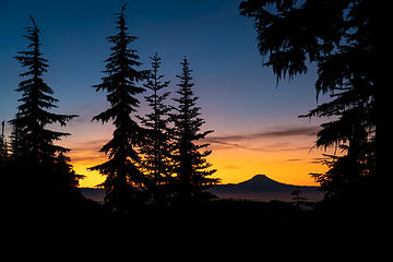 Silhouettes at Dawn