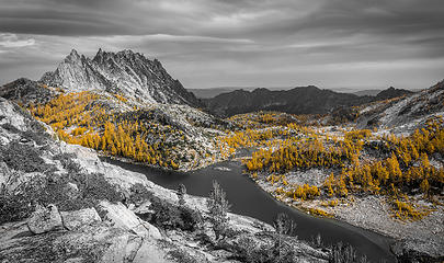 Larches in the Enchantments (early October 2015)