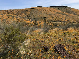 Peridot Mesa - Arizona