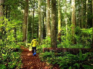 Hunter on the trail