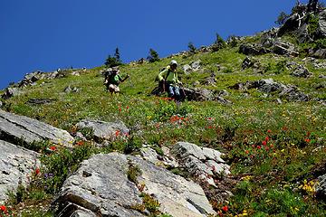 Descending steep upper meadows mixed with flowers and rocks.