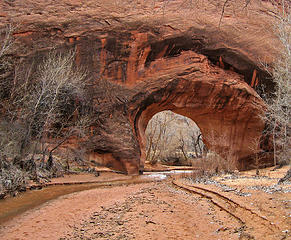 Coyote Natural Bridge