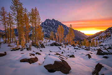 Headlight Basin