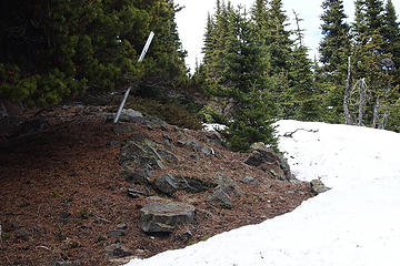 Baldy Grey Wolf via Maynard Burn: Ridge snow-free in spots c5750. NPS boundary follows ridge.