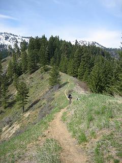 hiker on trail