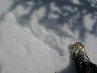 Tracks from The Abominable Snow-Bunny of Stetattle Ridge