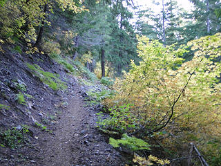 Starting up Shriner Peak trail.