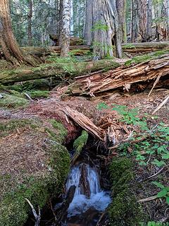 Tunnel Creek meets the trail - last water for the trip