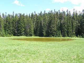 Views in meadows before Grand Park.