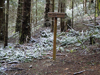 K3 trail joins upper Tiger Mountain trail.