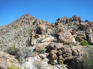 looking up the ridge