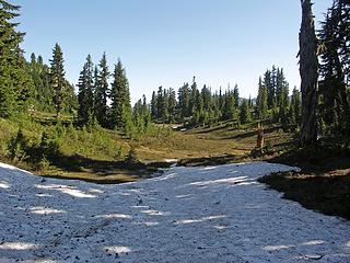 Meadows and snow on the trail. First small section of snow encountered around 5000', solid snow did not start until Peggys Pond.