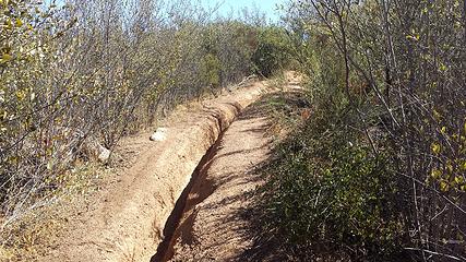 Deeply rutted trail