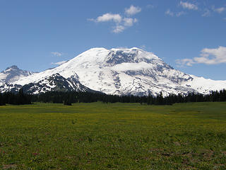 Rainier from my lunch spot in Grand Park.