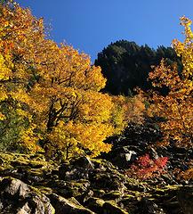 Perry Creek Falls Trail 10/10/19