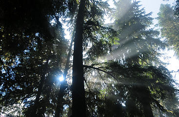 On the trail to Beckler Peak