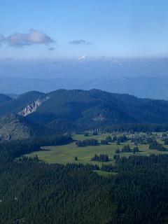 A view to Grand Park